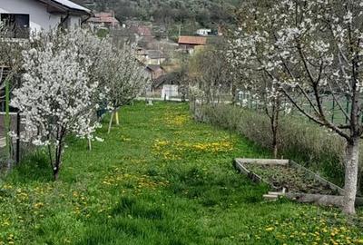Teren de 300 mp, în Ciurila - 2