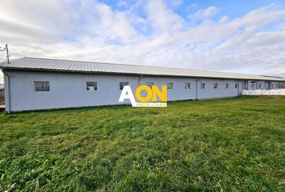 HALĂ Industrială/Producție 573mp, Teren 2793mp, DJ 107F, Comision 0 - 2