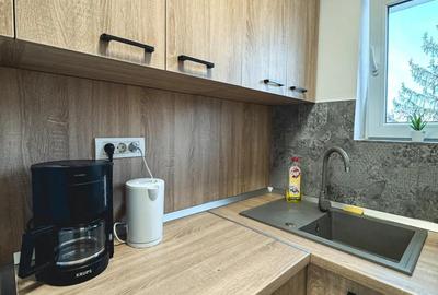 Ofer spre inchiriere STUDIO Modern si Primitor - 1