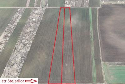 Teren Construcții intravilan de 10000 mp, în Săbăreni - 2