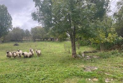 Spațiu comercial, în Mărtinești - 4