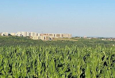 Teren de 1511 mp, în Rediu - 2