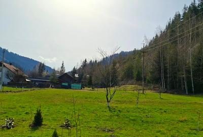 Casă individuală cu 3 camere cu Teren 3500 Mp în Pojorâta - 8