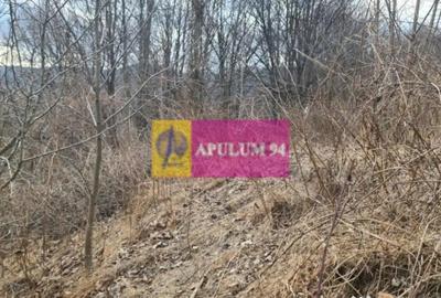 Teren de 3008 mp, în Calea București