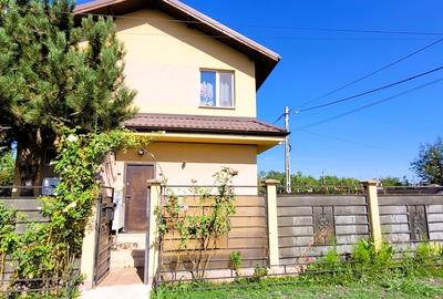 Domnesti, Ilfov - 1