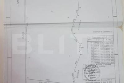 Teren de 141356 mp, în Lipănești - 1