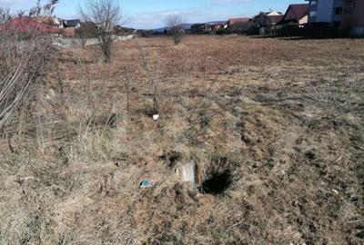 Teren de 2600 mp, în Cetate - 3