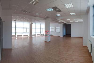 Birouri Theodor Pallady, Bucuresti - 3