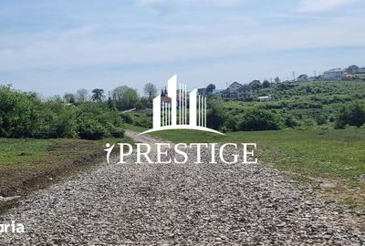 Teren de 2000 mp, în Trei Stejari - 5