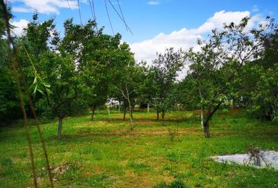 Casă cu 4 camere în Preajba - 7