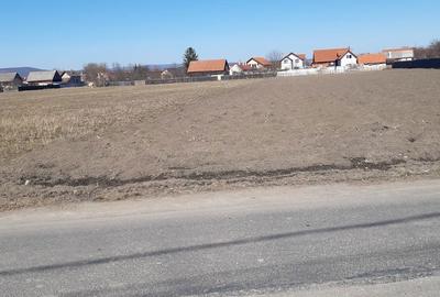 Teren de 2325 mp, în Tărlungeni - 1