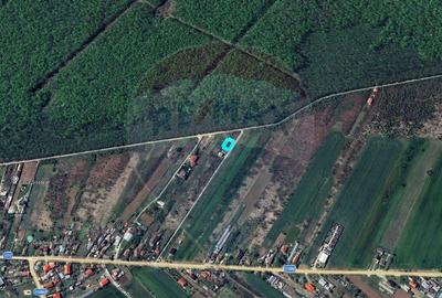 Teren de 450 mp, în Gruiu - 3