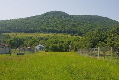 Teren intravilan, zona Vetel - 1