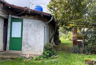 Casa de vinificatie in Viile Tieamului Carei - 5