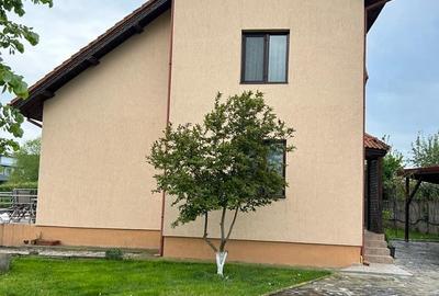 Vila superba  cu Piscina si 5000 mp teren - 6