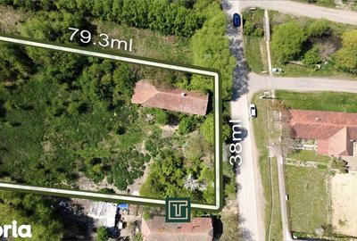 Teren de 3029 mp, în Orțișoara - 1