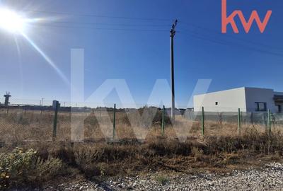 Teren Construibil 516 mp | Carcea - 2