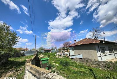 Teren de 975 mp, în Cernica - 18
