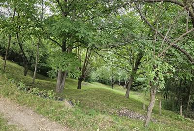 TEREN DE VANZARE SECIURI - 7