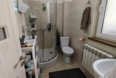 Vila Individuala 4 camere + Anexa Otopeni - 10