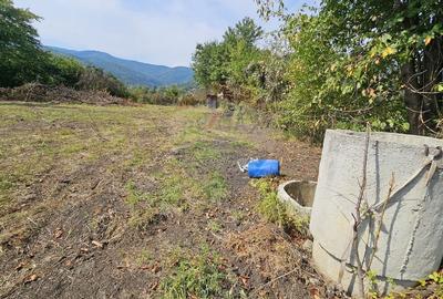 Teren 1,672mp Straja, Comuna Tarcau - 20