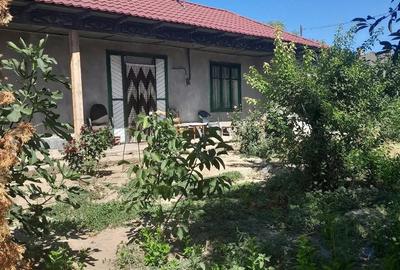 Casă cu 3 camere cu Teren 1600 Mp în Traian - 3