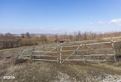 Spațiu comercial, în Bran - 3