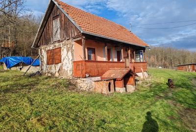 Casă cu 2 camere cu Teren 3600 Mp în Bejan - 5