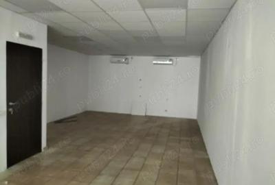 Birouri si spatii de inchiriat in THEODOR PALLADY 40 - 6