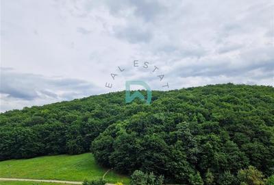 Apartament cu 2 camere decomandat, mobilat în Răcădău