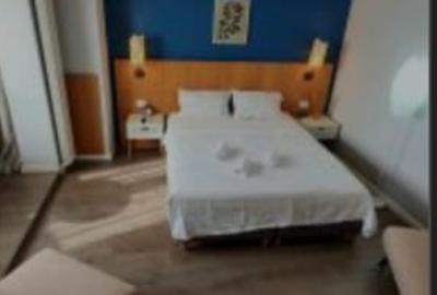 Vânzare garsoniera cocheta Piața Victoriei - 3