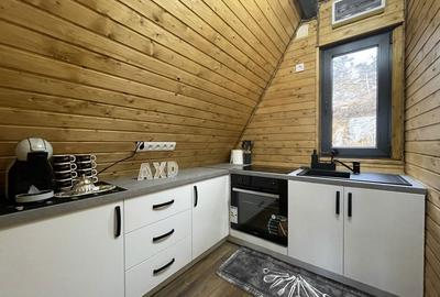 Apartament cu 4 camere în Râmeț - 2