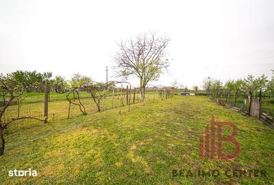Casă cu 5 camere cu Teren 1128 Mp în Zimandu Nou - 4