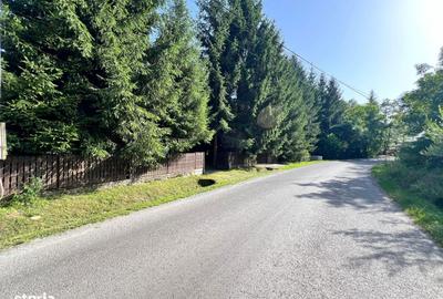 Casă cu 3 camere în Câmpu Cetății - 10
