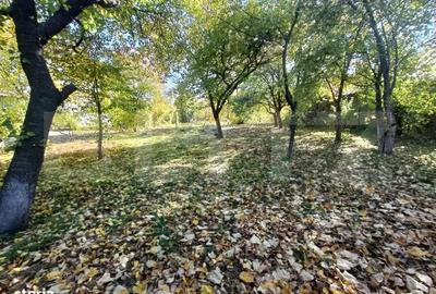 OPORTUNITATE TEREN 0,9 Ha intravilan constructii+extravilan - 8