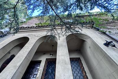 3 camere in vila Primaverii renovat Charles de Gaulle - 20