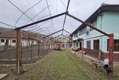 Casă cu 4 camere cu Teren 1852 Mp în Ciuperceni - 4