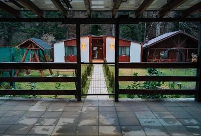 Casă individuală cu 4 camere cu Teren 390 Mp în Zamora - 3