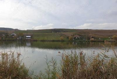 Teren de 12000 mp, în Central