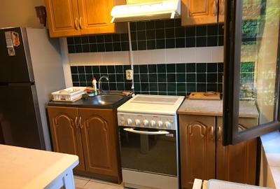 Titan - Hala Laminor - metrou - Apartament 2 camere in vila - curte 37 mp - 2013 - 1