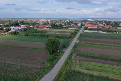 Teren de 1623 mp, în Borș - 5