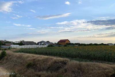 Tamasi, langa padure, 12.824 mp, deschidere 45 ml, teren cu potential! - 2