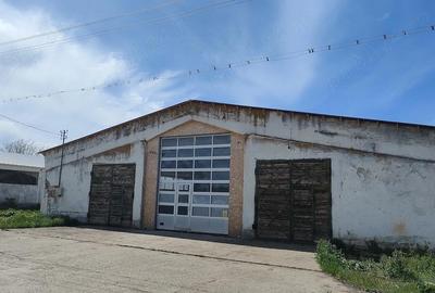 Spațiu comercial, de 600 mp, în Hălchiu - 3