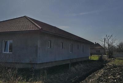 Casă cu Teren 25000 Mp în Traian - 3