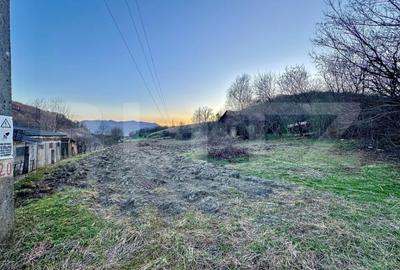 Teren de 4600 mp, în Central - 1