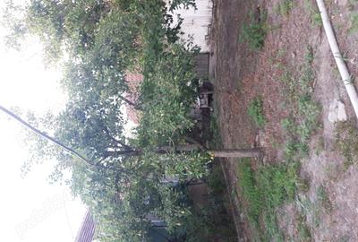 Casă cu 4 camere în Moroda - 6