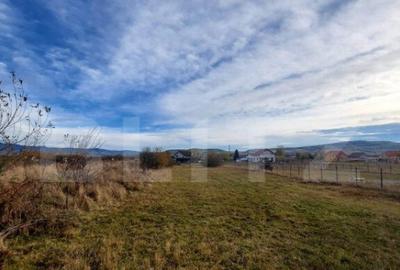 Teren de 25 ari in localitatea Livezile - 1