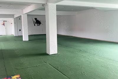 Spațiu comercial, de 450 mp, în Bucovina - 1