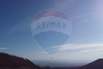 Teren agricol de 4700 mp, în Pianu - 3