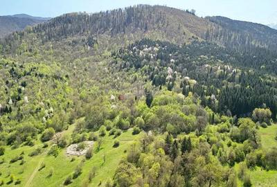 Teren Intravilan parcele 1000mp - 10